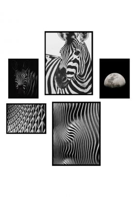 Set 5 tablouri decorative Zebra BW