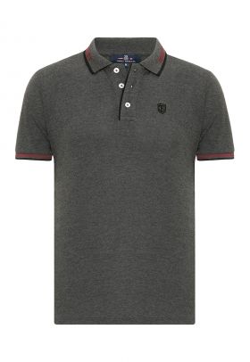 Tricou polo cu accente in dungi Antoninus