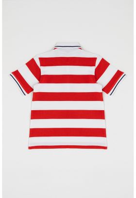 Tricou polo din bumbac cu model in dungi