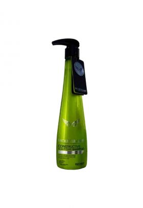 Sampon constructiv pentru scalp 500 ml