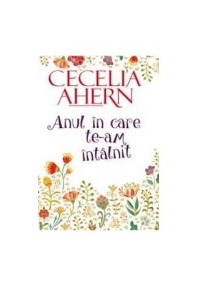 Anul in care te-am intalnit - Cecelia Ahern