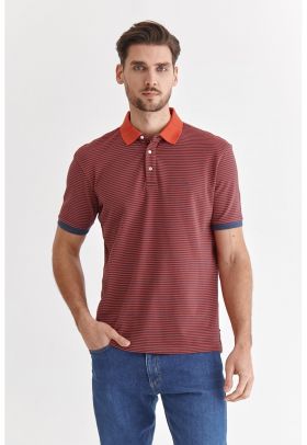 Tricou polo de bumbac cu dungi Jay