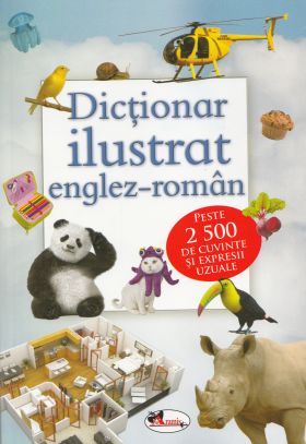 Dictionar ilustrat englez-roman | 