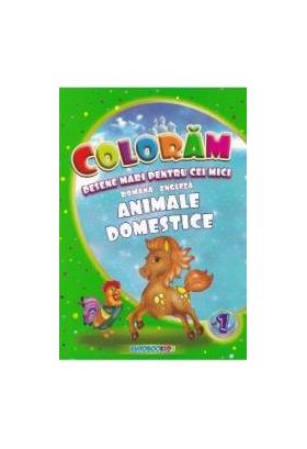 Coloram desene mari pentru cei mici Animale domestice