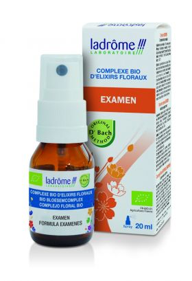 Spray cu complex bio din elixiruri florale Eco Bach Examen, 20ml, Ladrome