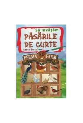 Sa Invatam Pasarile De Curte - Carte De Colorat