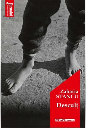 Descult | Zaharia Stancu