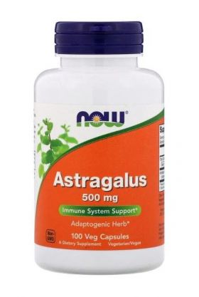 Now Astragalus 500mg 100 caps