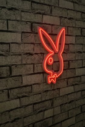 Decoratiune luminoasa LED, Playboy, Benzi flexibile de neon, DC 12 V, Rosu