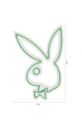 Decoratiune luminoasa LED, Playboy, Benzi flexibile de neon, DC 12 V, Verde