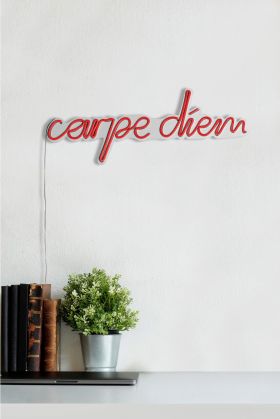 Decoratiune luminoasa LED, Carpe Diem, Benzi flexibile de neon, DC 12 V, Rosu