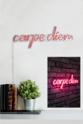 Decoratiune luminoasa LED, Carpe Diem, Benzi flexibile de neon, DC 12 V, Roz