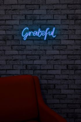 Decoratiune luminoasa LED, Grateful, Benzi flexibile de neon, DC 12 V, Albastru