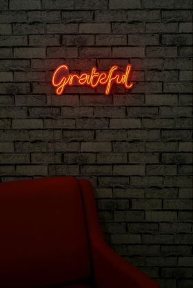 Decoratiune luminoasa LED, Grateful, Benzi flexibile de neon, DC 12 V, Rosu