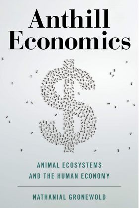 Anthill Economics | Nathanial Gronewold