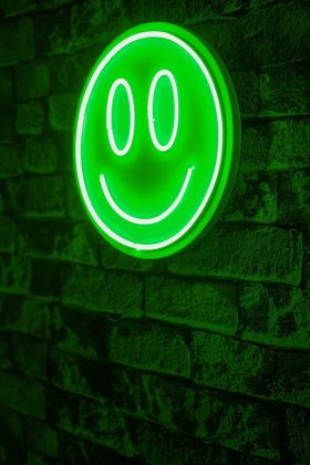 Decoratiune luminoasa LED, Smiley, Benzi flexibile de neon, DC 12 V, Verde