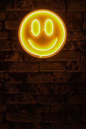 Decoratiune luminoasa LED, Smiley, Benzi flexibile de neon, DC 12 V, Galben