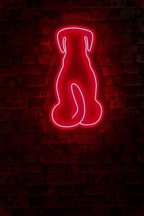 Decoratiune luminoasa LED, Doggy, Benzi flexibile de neon, DC 12 V, Rosu