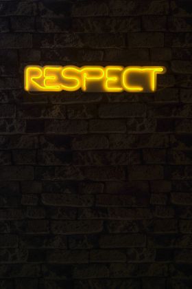 Decoratiune luminoasa LED, Respect, Benzi flexibile de neon, DC 12 V, Galben