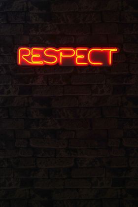 Decoratiune luminoasa LED, Respect, Benzi flexibile de neon, DC 12 V, Rosu