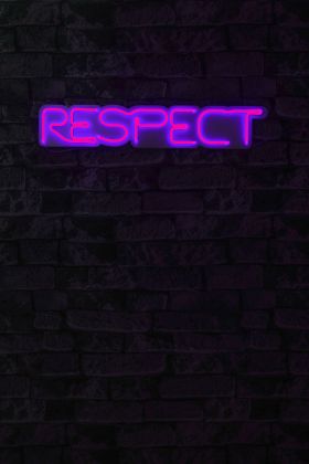 Decoratiune luminoasa LED, Respect, Benzi flexibile de neon, DC 12 V, Roz