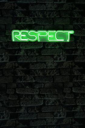 Decoratiune luminoasa LED, Respect, Benzi flexibile de neon, DC 12 V, Verde