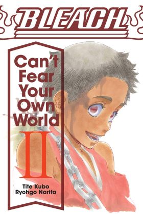 Bleach: Can't Fear Your Own World - Volume 2 | Ryohgo Narita