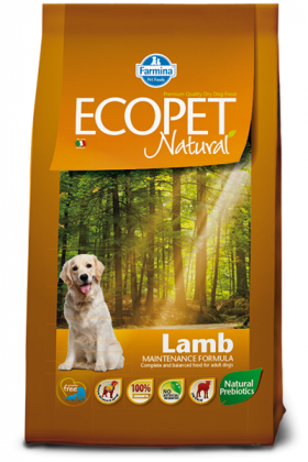 Ecopet Natural Caine Adult Miel si Orez - 12 kg