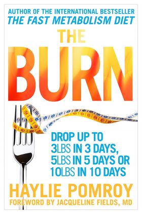 The Burn | Haylie Pomroy