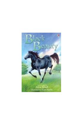 Black Beauty |