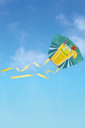 Donkey zmeu Mini Kite LemonAir