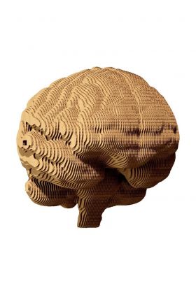 Cartonic puzzle 3d Brain