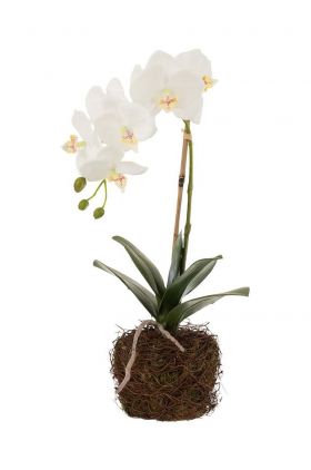 J-Line planta artificiala Orchid In Soil