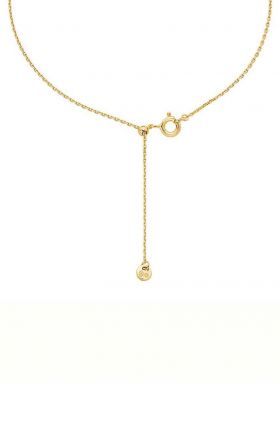 Michael Kors colier din argint placat cu aur