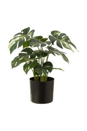 J-Line plantă artificială în ghiveci Monstera