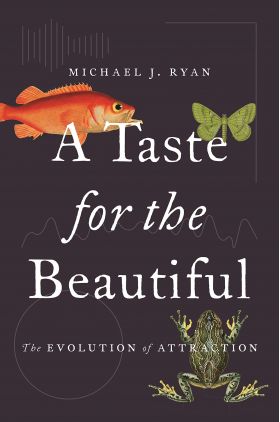 Taste for the Beautiful | Michael Ryan