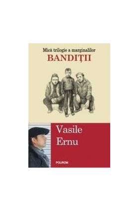 Banditii - Vasile Ernu