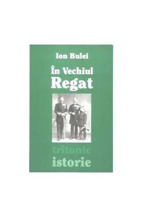 In Vechiul Regat | Ion Bulei