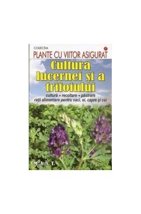 Cultura lucernei si a trifoiului