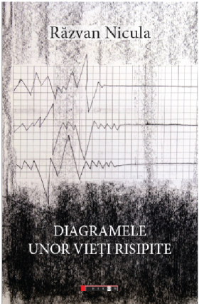 Diagramele unor vieti risipite | Razvan Nicula