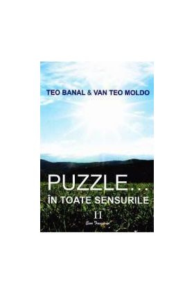 Puzzle... In toate sensurile vol.2 - Teo Banal Van Teo Moldo