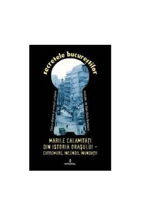 Secretele Bucurestilor vol.22 Marile calamitati din istoria orasului - Dan-Silviu Boerescu