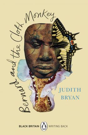 Bernard and the Cloth Monkey | Judith Bryan