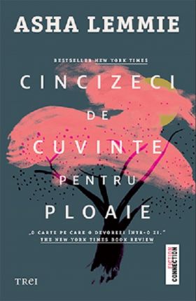 Cincizeci de cuvinte pentru ploaie | Asha Lemmie