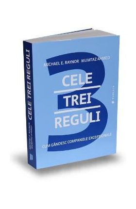 Cele trei reguli - Michael E. Raynor, Mumtaz Ahmed