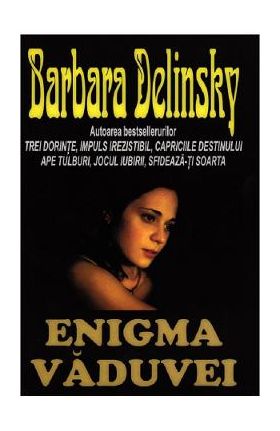 Enigma vaduvei - Barbara Delinsky