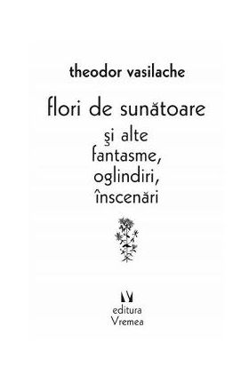 Flori de sunatoare si alte fantasme, oglindiri, inscenari - Theodor Vasilache