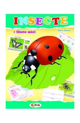 Insecte (mapa) - Inesa Tautu