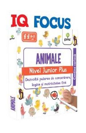 IQ Focus - Animale. Nivel Junior Plus 4-5 ani