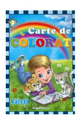Carte de colorat: Baieti